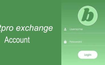 Betpro exchange.com login