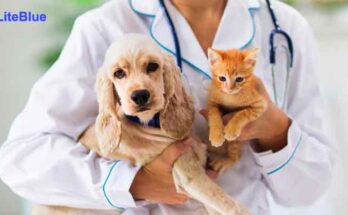 Is pet insurance worth it